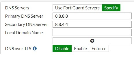 DNS Fortigate